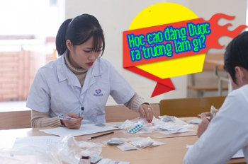 Học cao đẳng Dược ra trường làm gì?